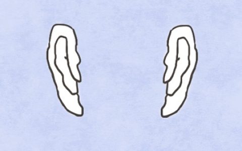 女人身上有痣是富贵痣 生活丰富恒心永恒