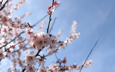 狮子座女生的性格特点是怎样的？