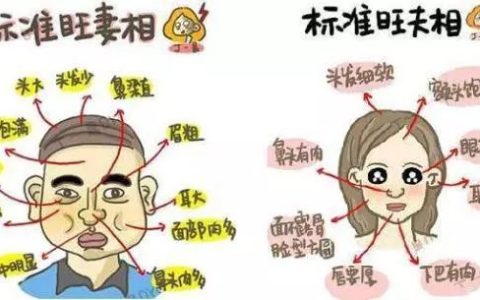 女人面相分析：胖一点的女人，原来这么好！