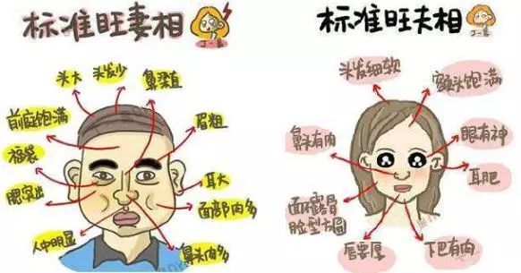 女人面相分析：胖一点的女人，原来这么好！