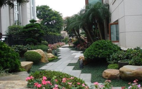 住宅庭院植物风水布局