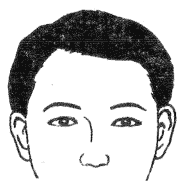 28种眉毛类型图文详细分析