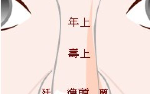 塌鼻梁性格,塌鼻子面相学