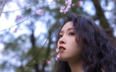 面相学怎样看鼻子