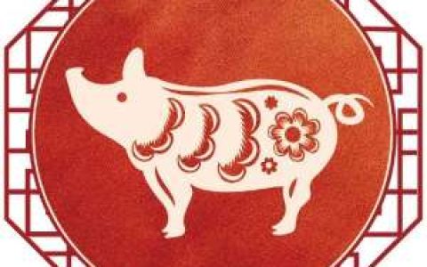 生肖猪2023癸卯年甲子月运(12.7-01.6)