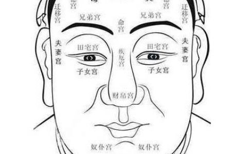 人的面相与命运，面相决定人的命运吗？