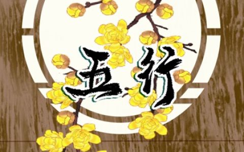 2009年是什么年五行属什么 09年出生人运势分析