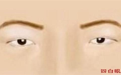 四白眼的人能够掌握人生吗