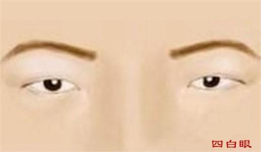 四白眼的人能够掌握人生吗