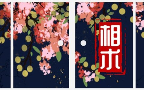 身上5颗巨富痣 财库充裕万里挑一的富贵命