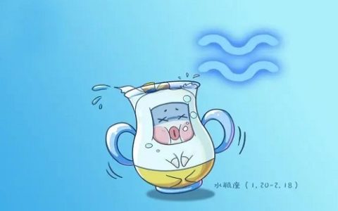 水瓶座运势2024整体运势 水瓶座2024每月运势详解