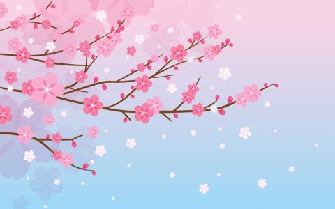 风水妙招：如何利用桃花位催旺异性缘