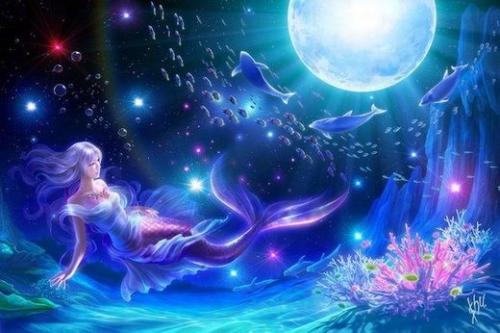 疯狂追星到父母都不要的星座