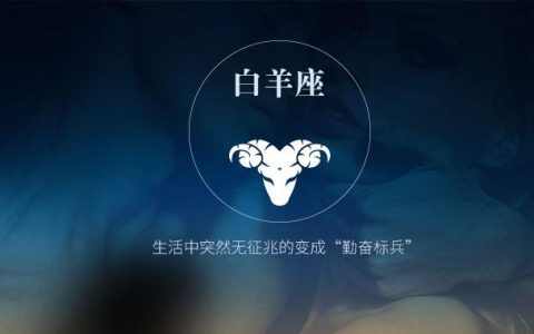 爱定目标却又碌碌无为的四大星座