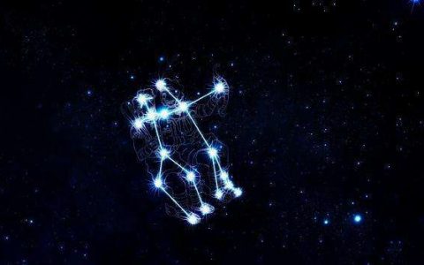 不爱出手 怕引起生灵涂炭的星座