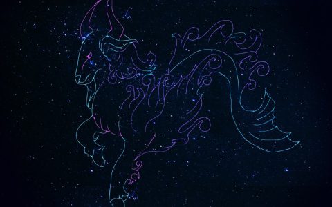 哪些星座还没有得到就害怕失去呢
