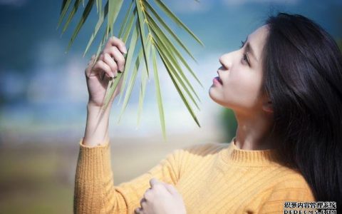 测试：2019属于你的最佳旅行计划