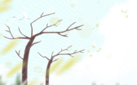 卧室风水：睡觉的风水你了解多少？