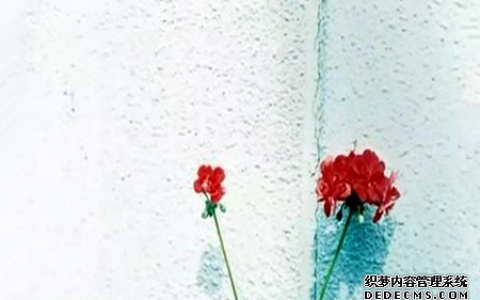测你是一个矫情的人吗