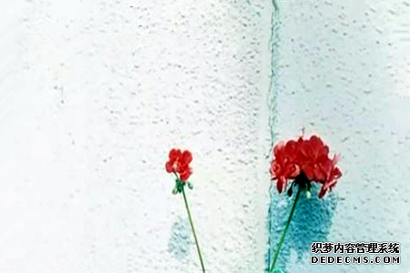 测你是一个矫情的人吗