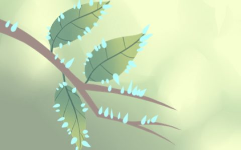 卧室照片风水禁忌，卧室照片放在哪好