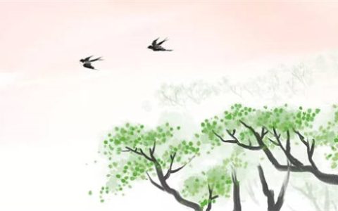 72年鼠男2023年运势怎么样  聪明才智得到发挥