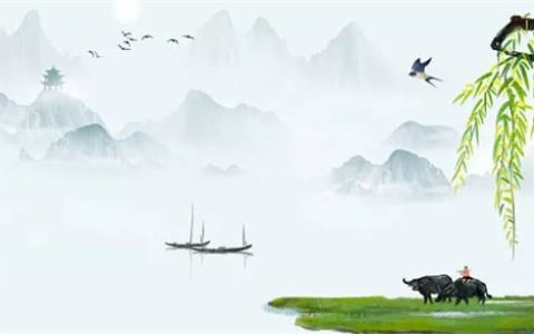 2000属龙一生三劫  感情挫折事业瓶颈健康困扰