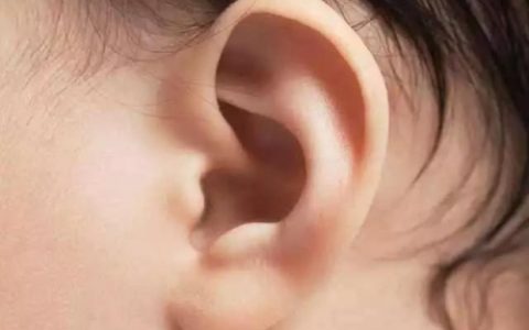 耳朵看面相大全图解