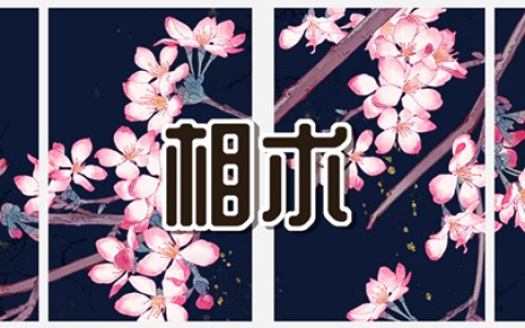女人最有福气的痣 肚子有痣富贵一生