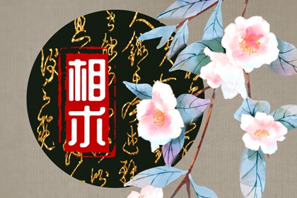 注定享福的痣 耳垂有痣好运福气相伴