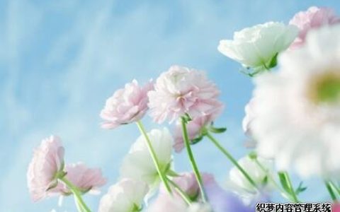 测试：你在人生的哪方面最容易经历坎坷？