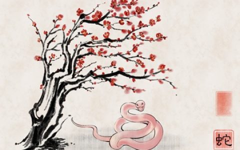 属蛇2024婚姻状况 在婚姻中如何处理矛盾