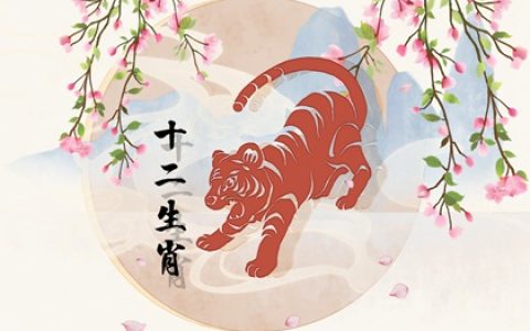 属龙2024年的运气如何 财富运势发展不佳