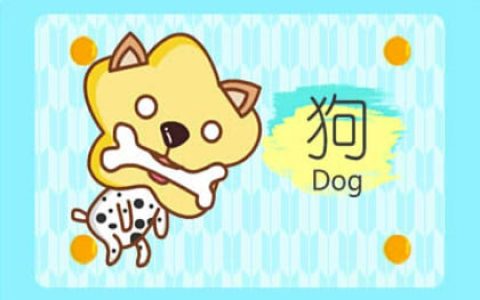 龙怕狗还是狗怕龙 家庭龙怕狗事业狗怕龙