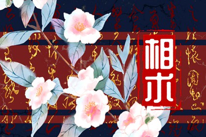 面部痣相图解男人 富贵之相好运升