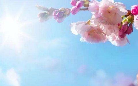 想要增加桃花运需要什么样的合适的风水环境