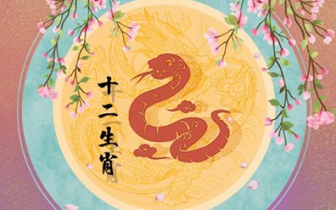 属蛇人适合做什么生意赚钱 服装生意