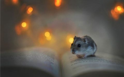 射手男喜欢你的小动作 射手座男生喜欢你的四大细节