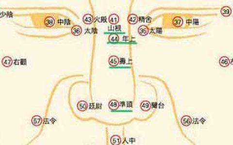 十六种鼻子面相命运图解，鼻子面相图解大全！