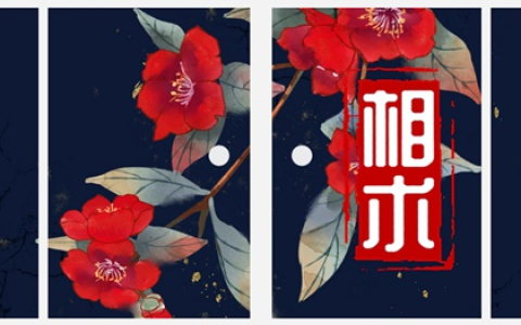 痣相富贵痣一定在这三个位置，占一个就得财！