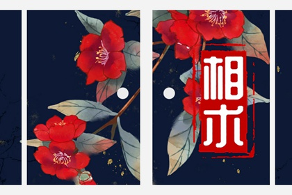 痣相富贵痣一定在这三个位置，占一个就得财！