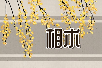 命里藏金的富贵痣相，有这些痣的人可享福！