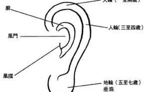 耳朵面相图解大全，十六种耳朵面相图文分析！