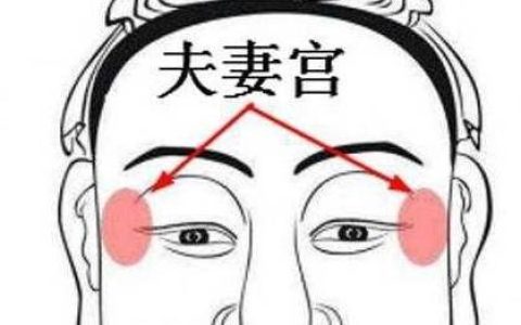 夫妻宫有铃星 最喜什么逢不同星具体情形