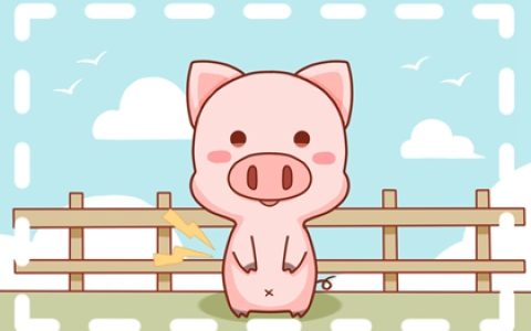 属猪的配什么生肖 属虎人 属兔人