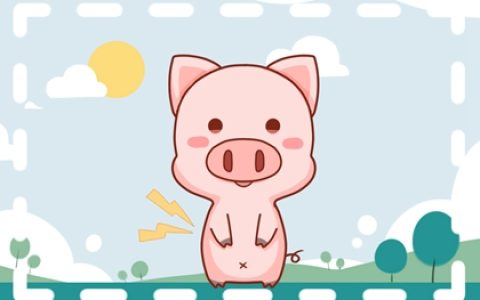 2024年属猪大忌颜色 黑色和绿色