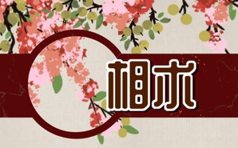 鼻梁上正中间长一颗痣  财源滚滚事业旺