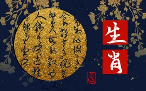 女马和哪个生肖配 属马女配属蛇男