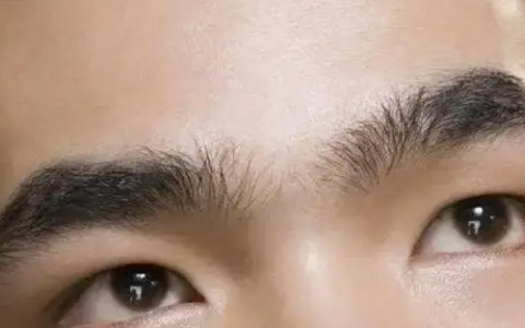 6种不吉利男人眉毛看相图解