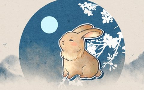 2024年生肖兔的财运怎么样 提升财运的方法